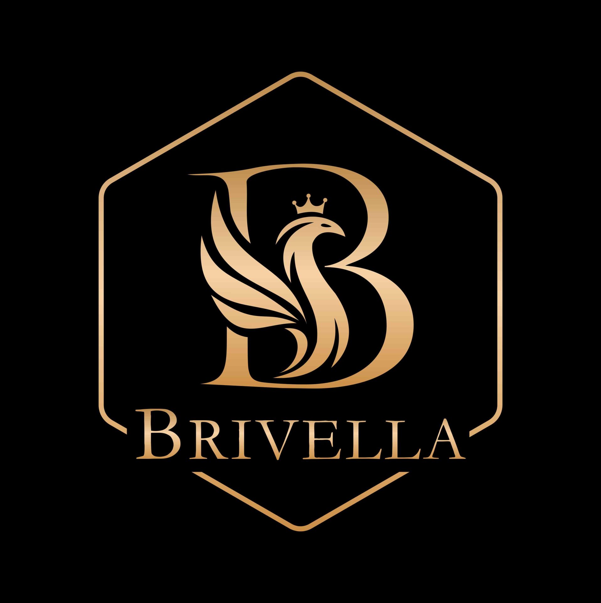 brivella logo png 002