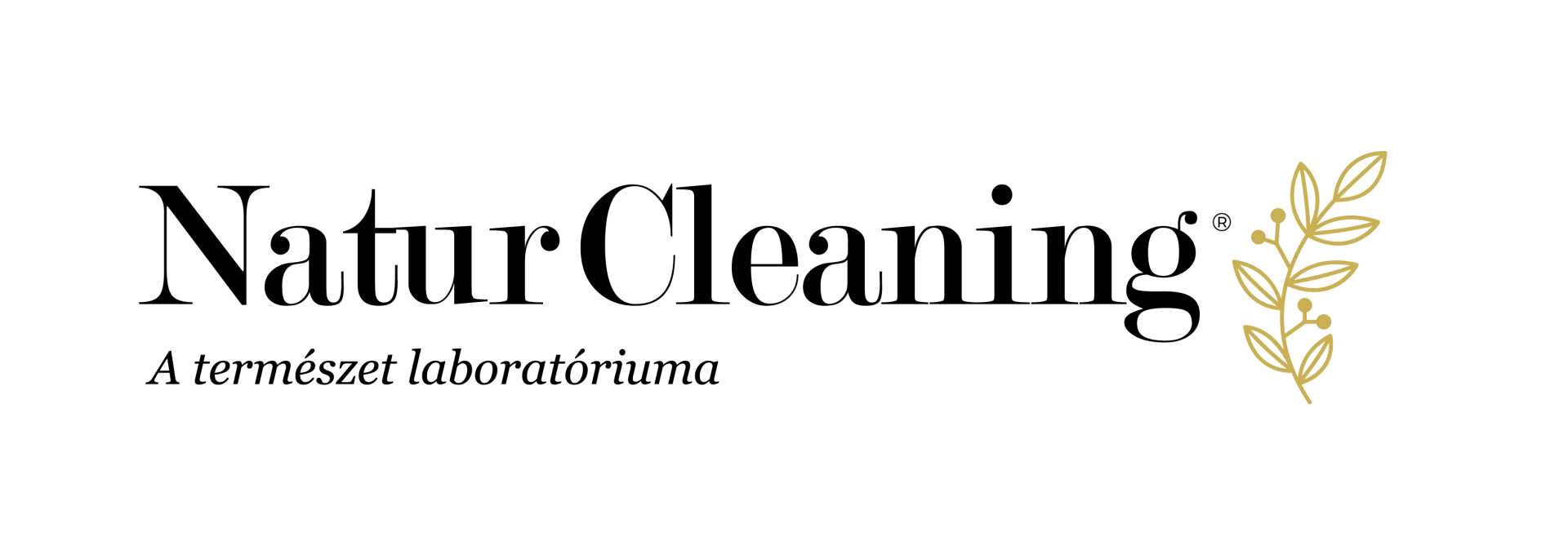 natur cleaning logok fekvo magyar